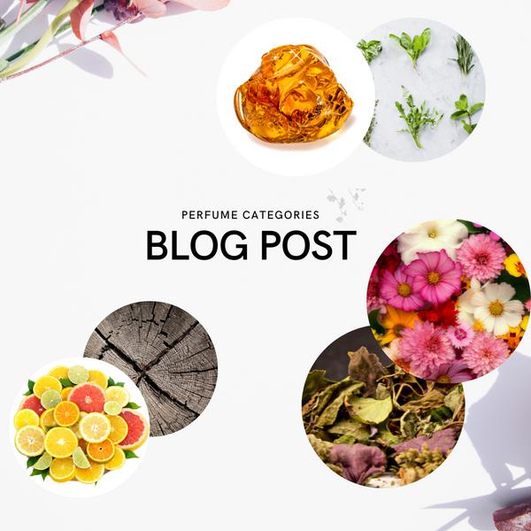 Perfume Genres and Categories - What do they mean?