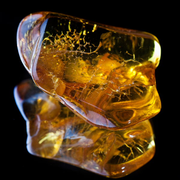 Discover the Secret Behind the Best Amber Perfumes - Uncovering the Popularity of Amber